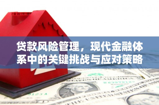 嘉禾贷款风险管理，现代金融体系中的关键挑战与应对策略