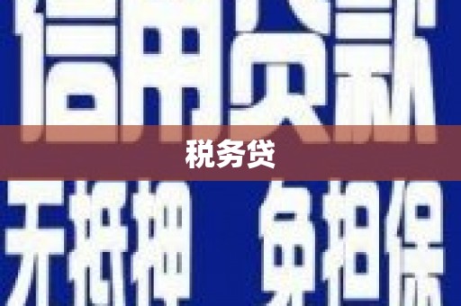 嘉禾税务贷