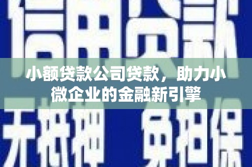 嘉禾小额贷款公司贷款，助力小微企业的金融新引擎