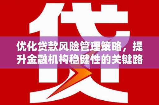 嘉禾优化贷款风险管理策略，提升金融机构稳健性的关键路径