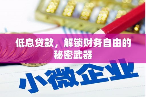 嘉禾低息贷款，解锁财务自由的秘密武器