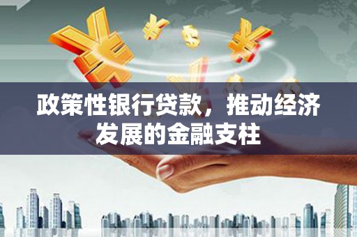 嘉禾政策性银行贷款，推动经济发展的金融支柱