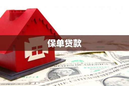 嘉禾保单贷款