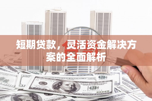 嘉禾短期贷款，灵活资金解决方案的全面解析