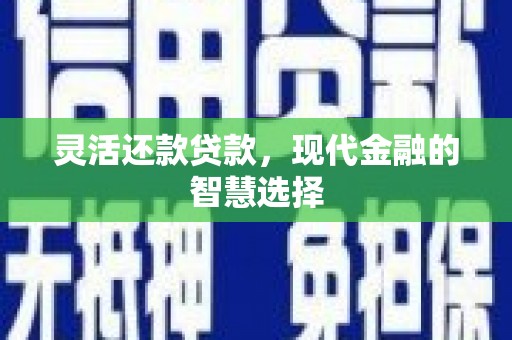 嘉禾灵活还款贷款，现代金融的智慧选择