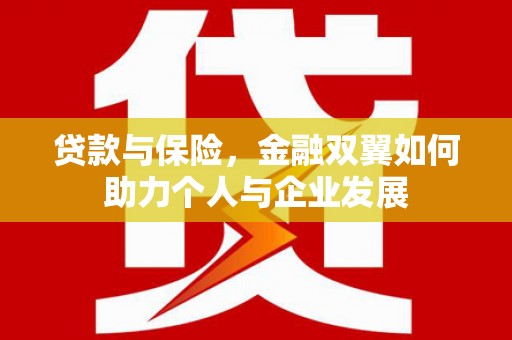 嘉禾贷款与保险，金融双翼如何助力个人与企业发展