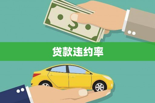 嘉禾贷款违约率