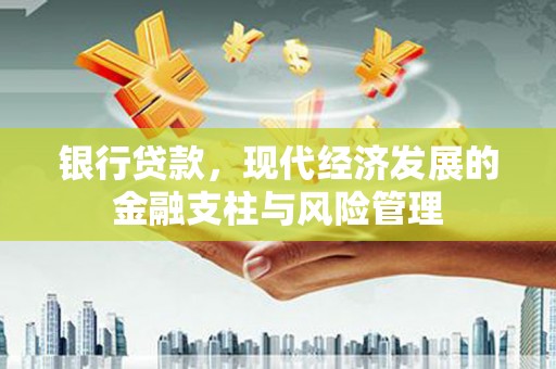 嘉禾银行贷款，现代经济发展的金融支柱与风险管理