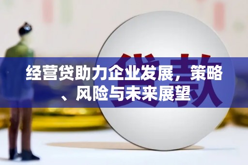 嘉禾经营贷助力企业发展，策略、风险与未来展望