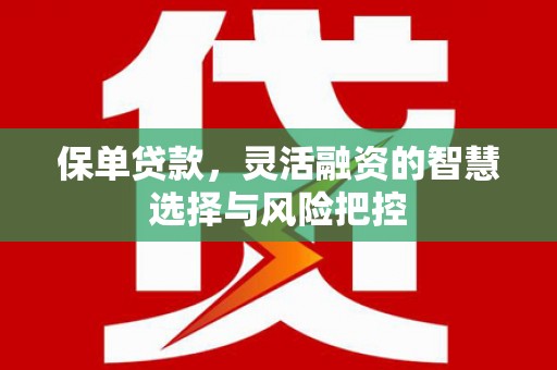 嘉禾保单贷款，灵活融资的智慧选择与风险把控