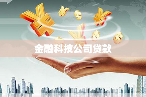嘉禾金融科技公司贷款