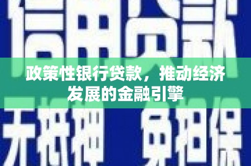 嘉禾政策性银行贷款，推动经济发展的金融引擎