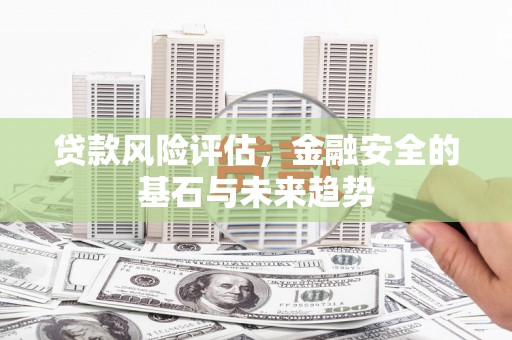 嘉禾贷款风险评估，金融安全的基石与未来趋势