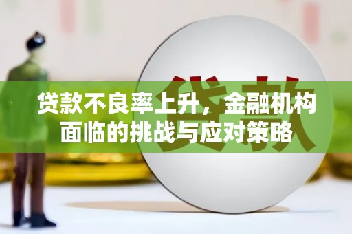 嘉禾贷款不良率上升，金融机构面临的挑战与应对策略