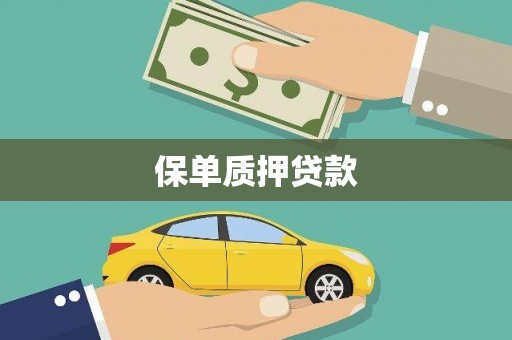 嘉禾保单质押贷款