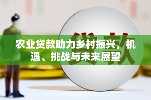 嘉禾农业贷款助力乡村振兴，机遇、挑战与未来展望