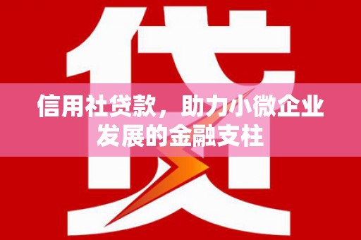 嘉禾信用社贷款，助力小微企业发展的金融支柱