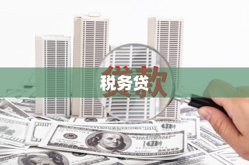 嘉禾税务贷