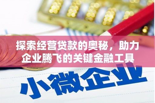 嘉禾探索经营贷款的奥秘，助力企业腾飞的关键金融工具