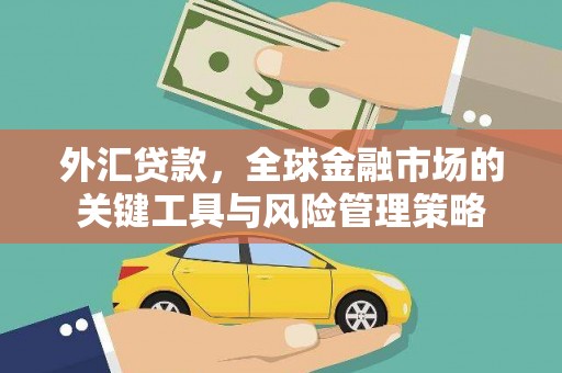 嘉禾外汇贷款，全球金融市场的关键工具与风险管理策略