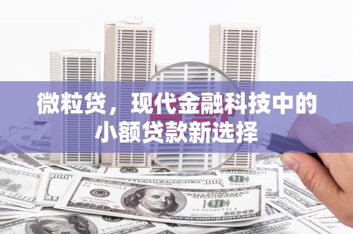嘉禾微粒贷，现代金融科技中的小额贷款新选择