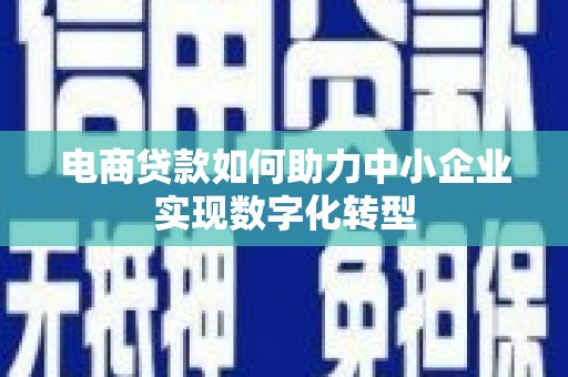 嘉禾电商贷款如何助力中小企业实现数字化转型