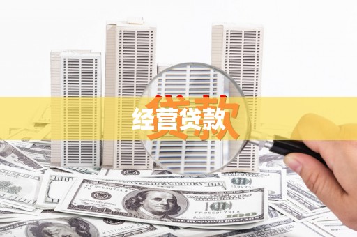 嘉禾经营贷款