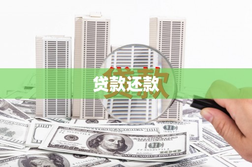 嘉禾贷款还款