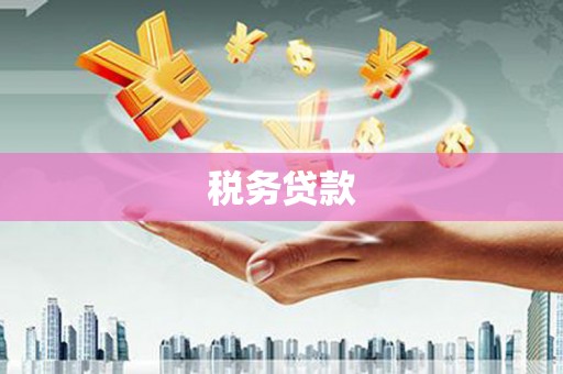 嘉禾税务贷款