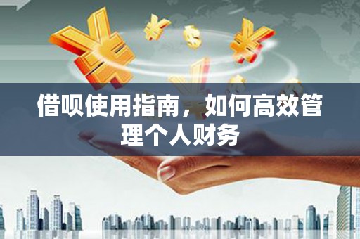嘉禾借呗使用指南，如何高效管理个人财务