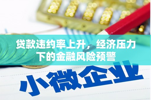 嘉禾贷款违约率上升，经济压力下的金融风险预警