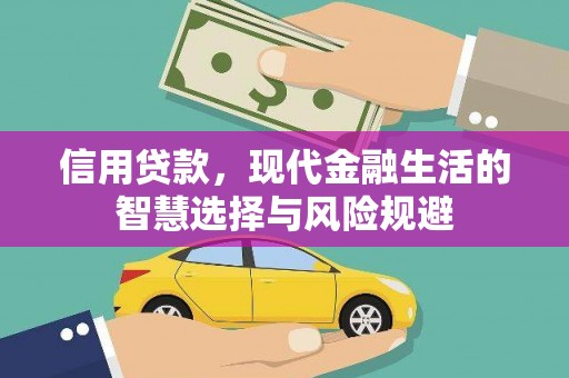 嘉禾信用贷款，现代金融生活的智慧选择与风险规避