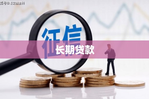 嘉禾长期贷款