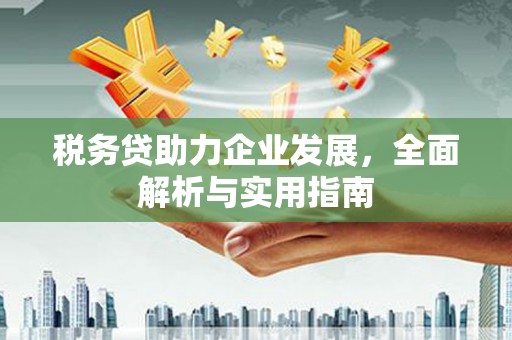 嘉禾税务贷助力企业发展，全面解析与实用指南