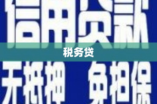 嘉禾税务贷