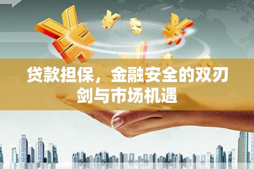 嘉禾贷款担保，金融安全的双刃剑与市场机遇