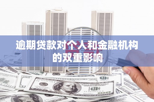 嘉禾逾期贷款对个人和金融机构的双重影响