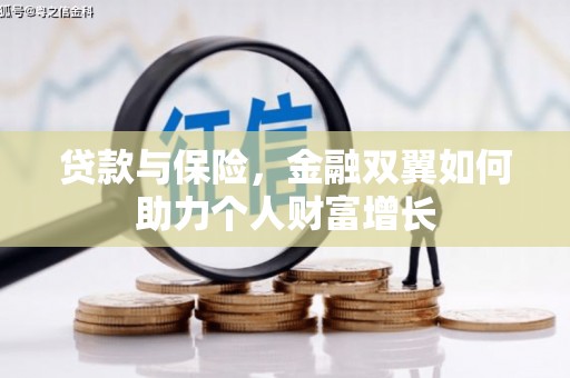 嘉禾贷款与保险，金融双翼如何助力个人财富增长