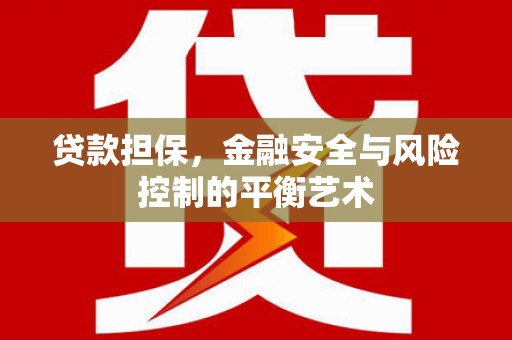 嘉禾贷款担保，金融安全与风险控制的平衡艺术