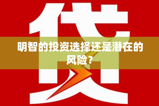 嘉禾明智的投资选择还是潜在的风险？