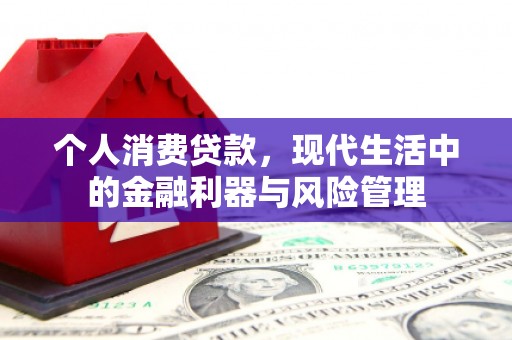 嘉禾个人消费贷款，现代生活中的金融利器与风险管理