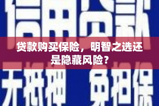 嘉禾贷款购买保险，明智之选还是隐藏风险？