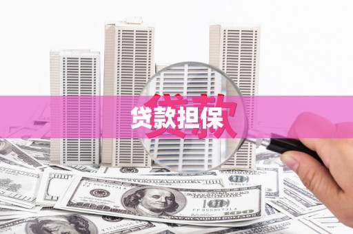 嘉禾贷款担保