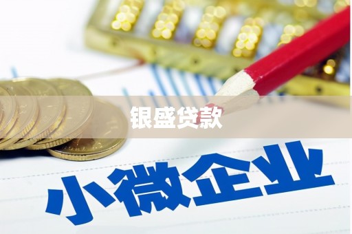 嘉禾银盛贷款