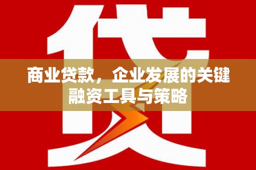 嘉禾商业贷款，企业发展的关键融资工具与策略