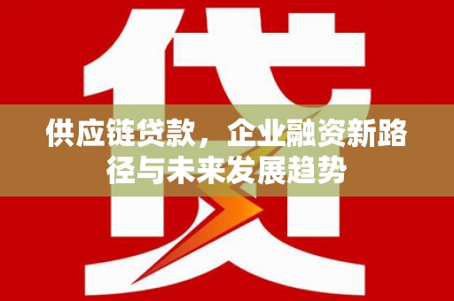 嘉禾供应链贷款，企业融资新路径与未来发展趋势