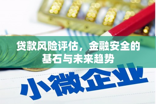 嘉禾贷款风险评估，金融安全的基石与未来趋势