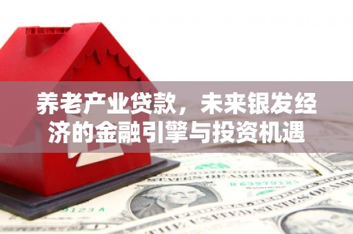 嘉禾养老产业贷款，未来银发经济的金融引擎与投资机遇