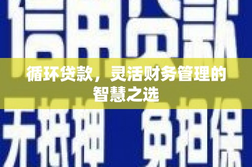 嘉禾循环贷款，灵活财务管理的智慧之选