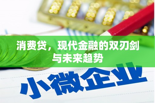 嘉禾消费贷，现代金融的双刃剑与未来趋势